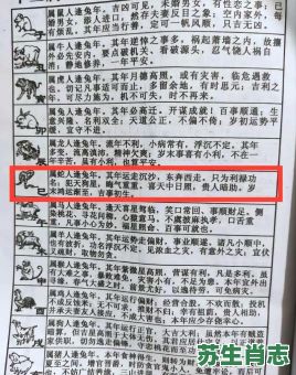 不是人 是什么生肖？不像人的生肖打一生肖