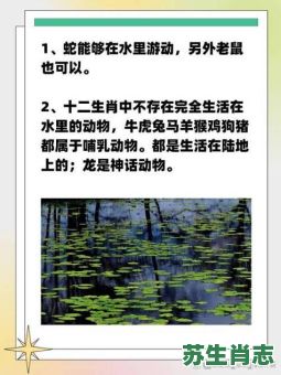 水上的是什么生肖？什么生肖在水里