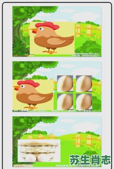 母鸡是什么生肖？母鸡下蛋指什么数字