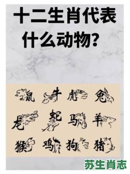 寺是什么生肖？寺代表什么动物