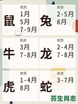 月中是什么生肖？月中有几个生肖