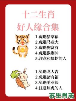 不是人是什么生肖？人精中的人精的生肖女