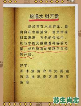 水字是什么生肖？水字生肖最正确答案