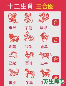 鸡三合是什么生肖是什么?鸡的三合生肖有哪几个 鸡三合是什么生肖是什么?鸡的三合生肖有哪几个