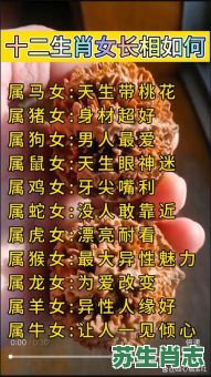 一女是什么生肖？女人正确一肖