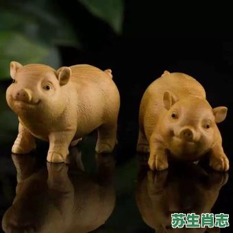 倒立是什么生肖？倒立打一动物