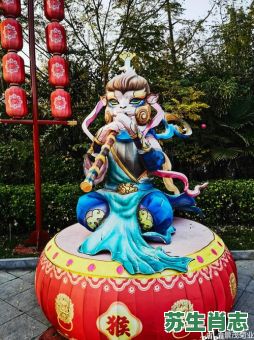 杂技是什么生肖？表演指什么生肖