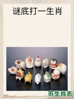 磨牙是什么生肖？磨牙代表准确生肖