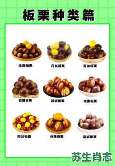 栗是什么生肖？栗的寓意是什么