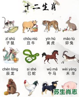 食无忧是什么生肖?无忧无虑过一生是什么生肖 食无忧是什么生肖?无忧无虑过一生是什么生肖