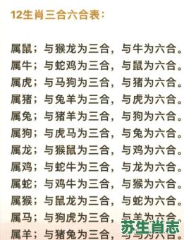 三伴是什么生肖？四海三山打一生肖