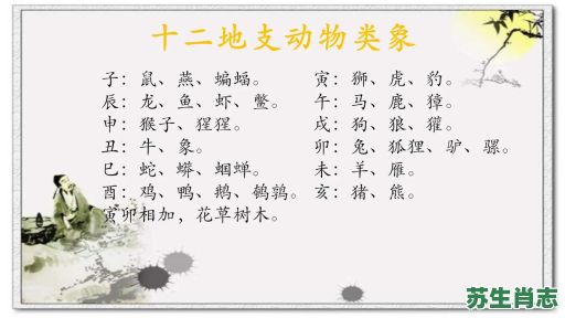 野兽的生肖是什么？野兽有几肖正确答案