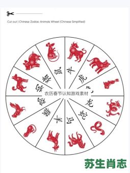 中央生肖是什么生肖？十二生肖圆盘图