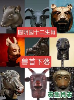 明朝是什么生肖？什么动物是明朝