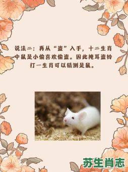 耳朵长是什么生肖？长耳打一最佳生肖