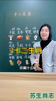 子丑是什么生肖？子肖是指哪6个生肖