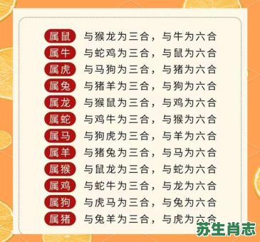 63是什么生肖？女肖是指哪6个生肖呢