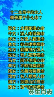 女士是什么生肖？女士打一生肖最佳答案