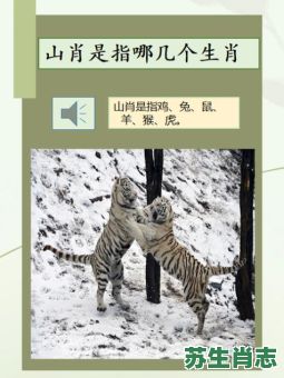 腿长是什么生肖？十二生肖什么动物腿长