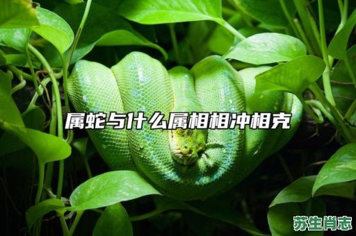 生肖蛇是什么属相？蛇和哪些生肖相克相冲