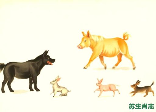 洞里生肖是什么生肖？洞里藏有什么动物生肖