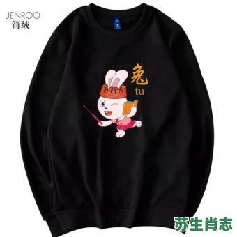 衣服是什么生肖？衣服正确代表一肖