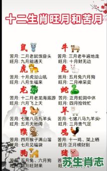 规矩是什么生肖？一到宫殿守规矩是什么生肖