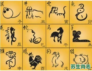 撕是什么生肖？来字在十二生肖指是谁
