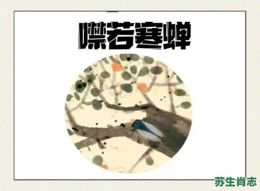 寒蝉是什么生肖？噤若寒蝉打一正确动物