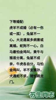 思念是什么生肖？思念打一准确动物