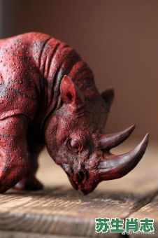 犀是什么生肖？犀牛是十二生肖哪个