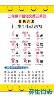 书读是什么生肖？爱读书的生肖