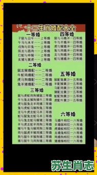 2007是什么生肖年？2007年生肖猪的婚配