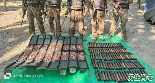 没子弹是什么生肖？欲钱买子弹打一生肖