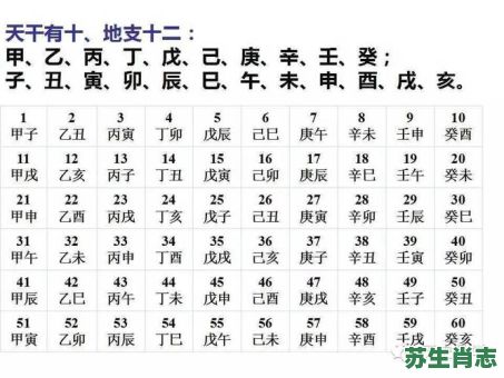 甲午是什么生肖？甲午年五行属什么