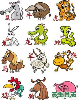 啄是什么生肖？啄字打一准确生肖