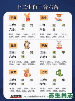 出轨是什么生肖？12生肖谁是绿帽