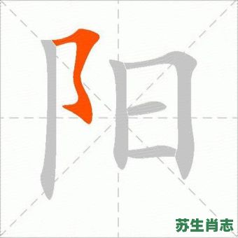 陽是什么生肖？阳打一准确生肖