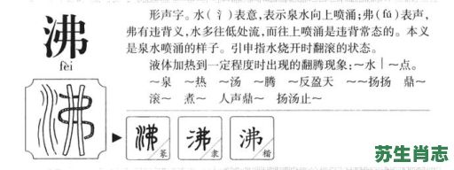 沸是什么生肖？沸字打一准确生肖