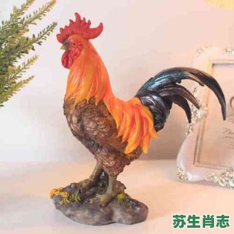 欧是什么生肖？欧打一个准确生肖