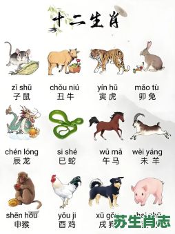 角落是什么生肖？旮旯代表什么生肖