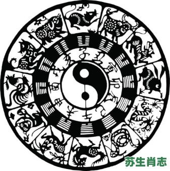 触电是什么生肖？触电正确答案一肖