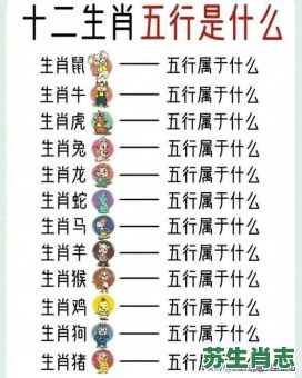 绮是什么生肖？绮属于五行属什么