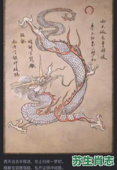 亢是什么生肖？亢金龙打一正确生肖