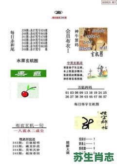 布衣是什么生肖？布衣打一准确动物