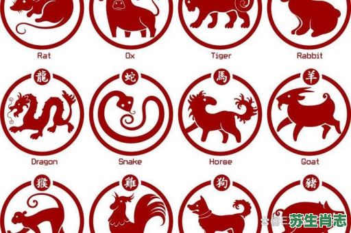 藏杀机是什么生肖？暗藏杀机打一最佳生肖