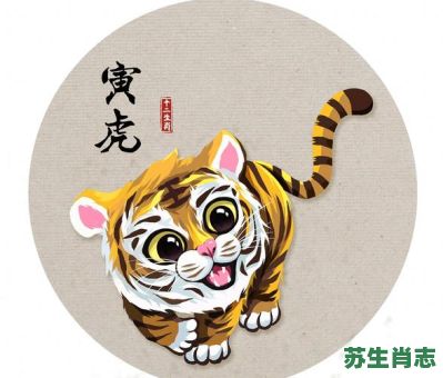虎儿是什么生肖？老虎代表什么生肖
