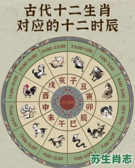 生肖十二星是什么？十二建星对应十二生肖