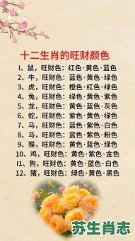 大旺是什么生肖？旺大和单出一正确生肖