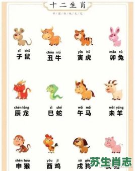 大尾巴是什么生肖？十二生肖哪个尾巴最大